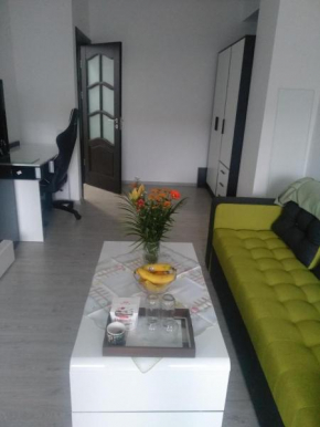Apartament Ademar